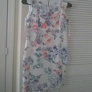Calvin Klein 6p dress